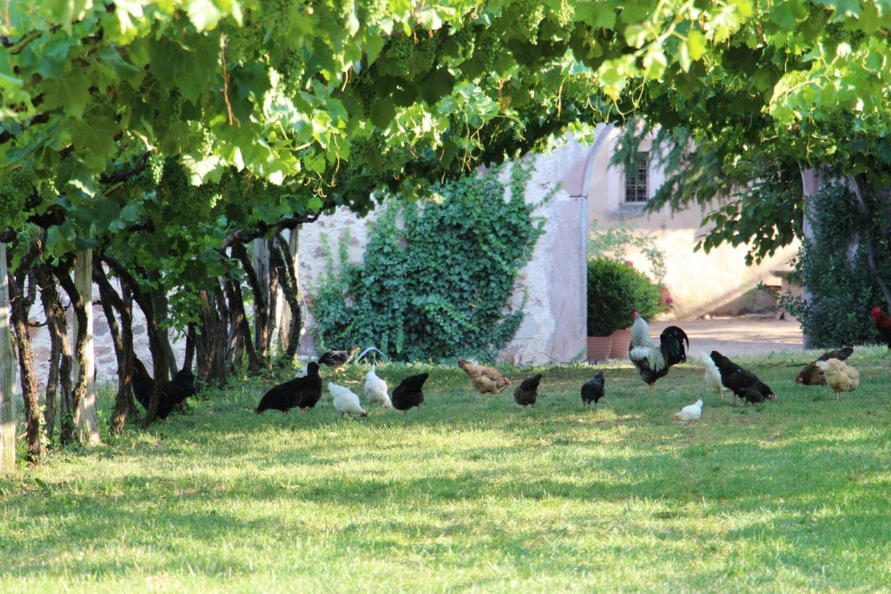 Schloss Englar Appiano Sulla Strada Del Vino Exterior foto